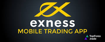 Discovering the Potential of Exness Vietnam A Comprehensive Guide Discovering the Potential of Exness Vietnam A Comprehensive Guide